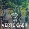 Verte Caer