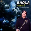 About Bhola Dhakad Se Song