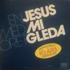 Jesus du er mi gleda