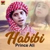 Habibi