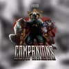 About Companions 2020 Song