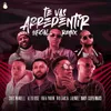 About Te Vas Arrepentir-Remix Song