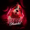 About Olvidate! - Perro Song