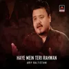 Haye Mein Teri Rahwan