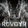 Rovdyr (Instrumental)