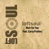 Dear Friend-Loftsoul 2013 Remix
