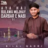 Aya Hai Bulawa Mujhay Darbar E Nabi Se