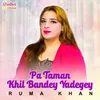 About Pa Taman Khil Bandey Yadegey Song