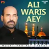 Ali Waris Aey