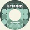 Emanons Rock-Remastered