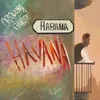 About Havana Song