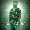 About Callejero Song