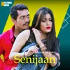 About Senijaan Song