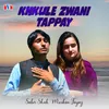 About Khkule Zwani Tappay Song