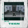 About Tegn Song