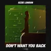 About Don't Want You Back Song