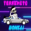 About Terremoto Song