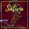 About Sativa-Instrumental Song