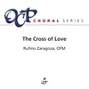 About The Cross of Love Song