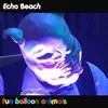 About Echo Beach Song