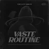 About Vaste Routine Song