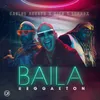 About Baila Reggaeton Song
