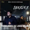 About Bekadra Song
