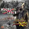 About Mucho Dicen, Poco Saben Song