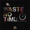 About Waste No Time Song