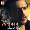 About Teri Yaadein Song