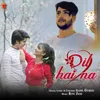 About Dil Hai Na Song