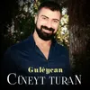 About Gulêycan Song