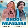 About Dhool Wafadara Song