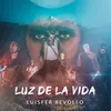 About Luz de la Vida-Versión Video Song