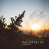 About The Gift of Life Song