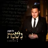 About נשמת Song