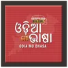 About Odia Mo Bhasa Song