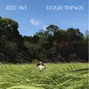 About Good Things Song