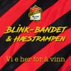 About Vi e her for å vinn Song