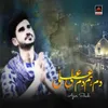 About Dam Hama Dam Ali Ali Song