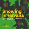 Snowing In Havana