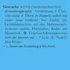 Gewuchs 01