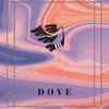 About Dove Song