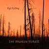 About The Broken Forest Song