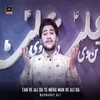 About Tan Ve Ali Da Te Mera Man Ve Ali Da Song