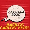 About Caraluna 2020 Song