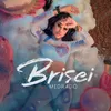 Brisei