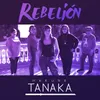 About Rebelión Song