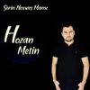 About Şerin Nexweş Mame Song
