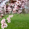 Mgnovenia: 17 Moments of Spring